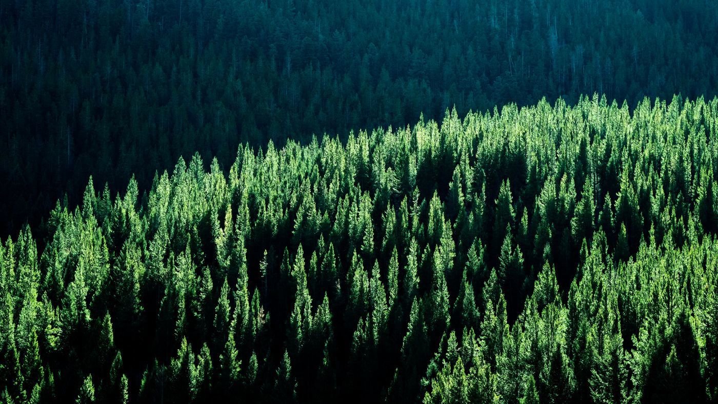 Karndean flooring supporting environment